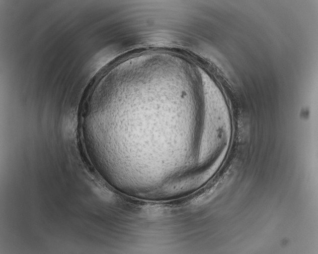 X0000116651065201001111224