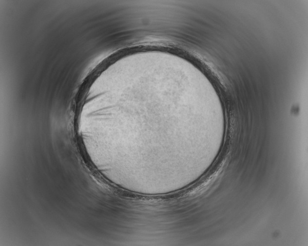 X0000116651066201001111224