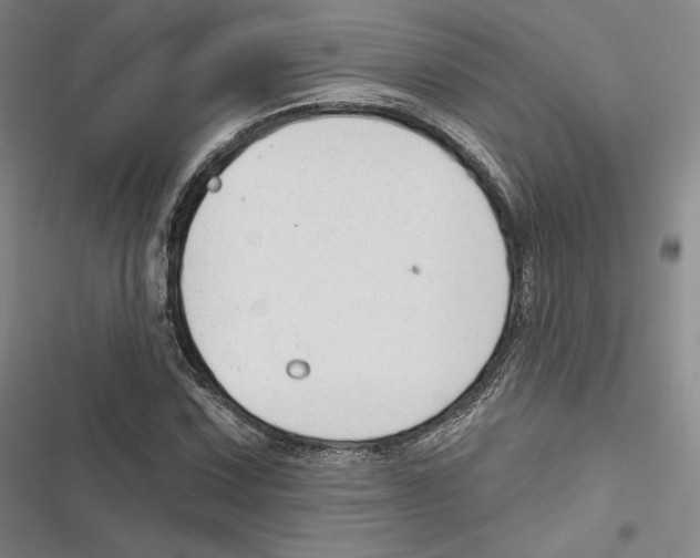 X0000116651067201001111224