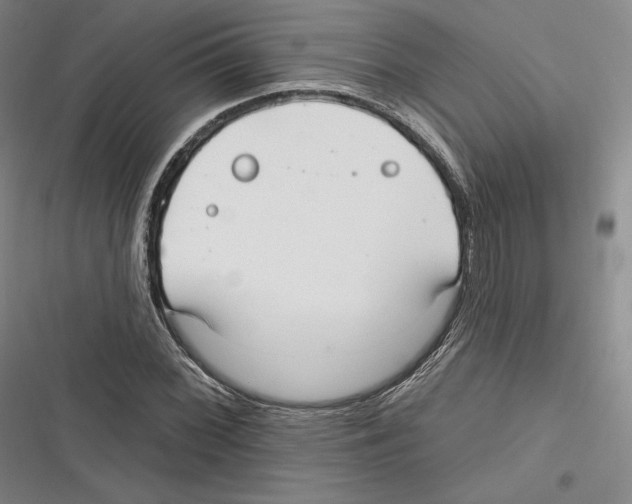 X0000116651068201001111224