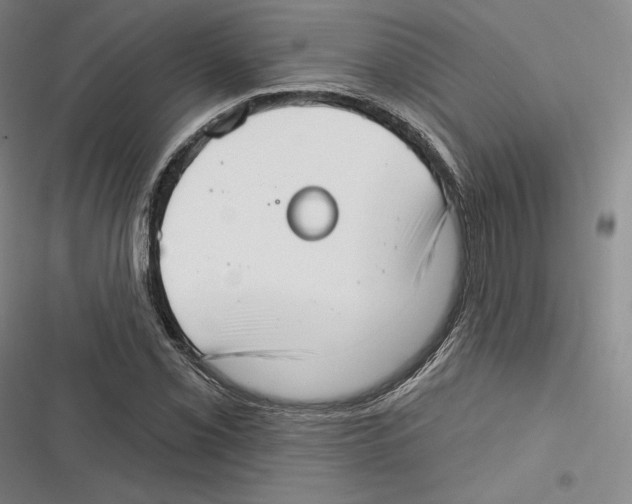 X0000116651069201001111224