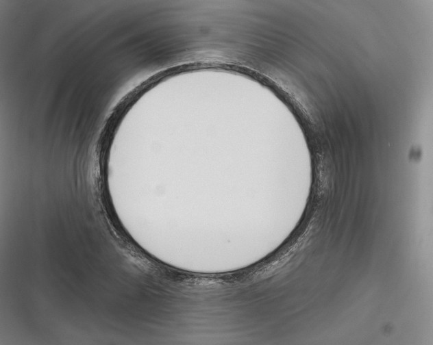 X0000116651070201001111224