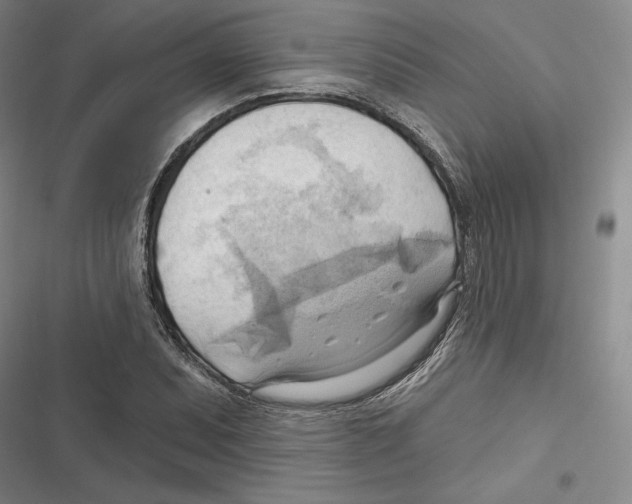 X0000116651071201001111224