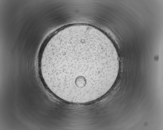 X0000116651072201001111224