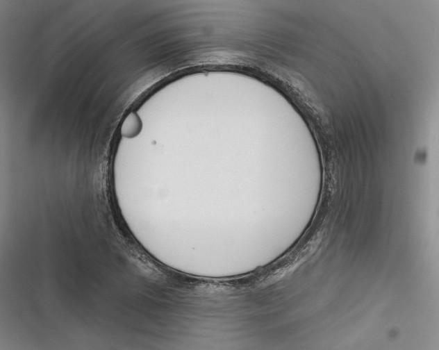 X0000116651073201001111224