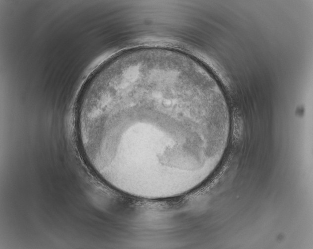 X0000116651074201001111224