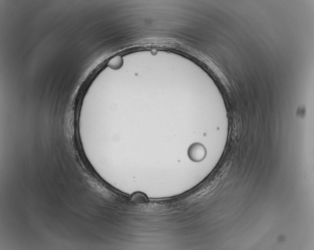 X0000116651075201001111224