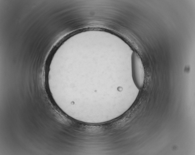 X0000116651076201001111224