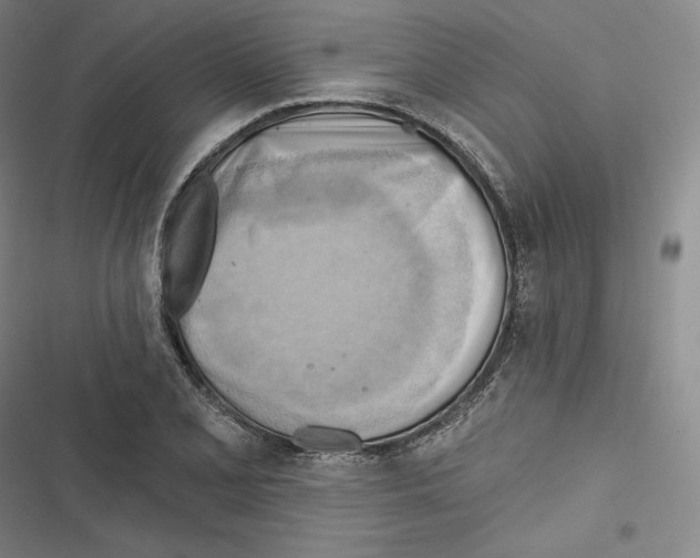 X0000116651077201001111224