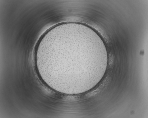 X0000116651078201001111224