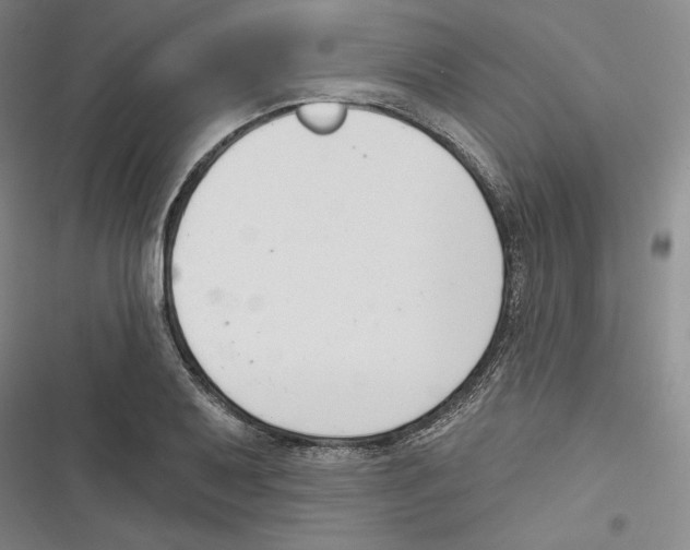 X0000116651079201001111224