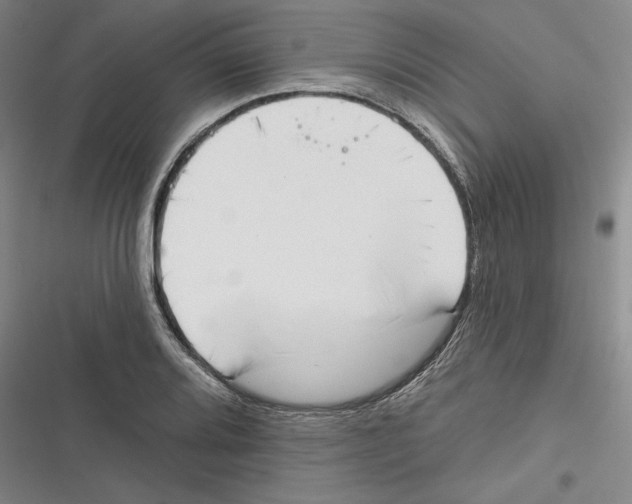 X0000116651080201001111224