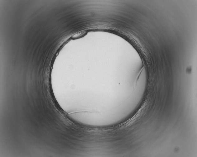 X0000116651081201001111224