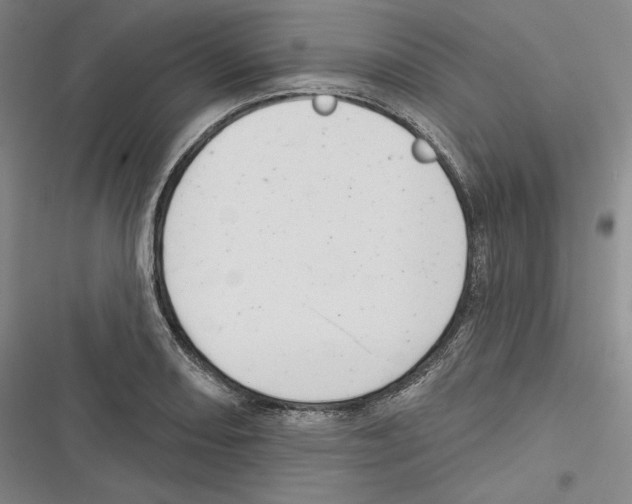 X0000116651082201001111224