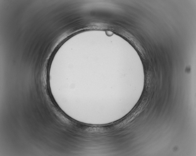 X0000116651083201001111224