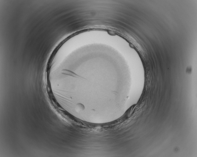 X0000116651084201001111224