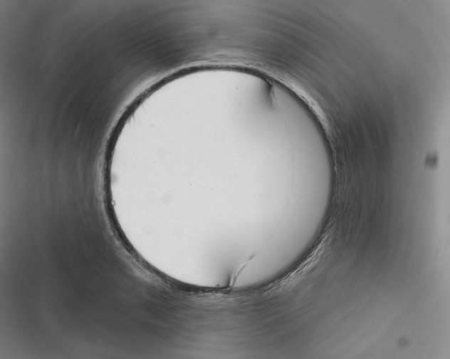 X0000116651085201001111224