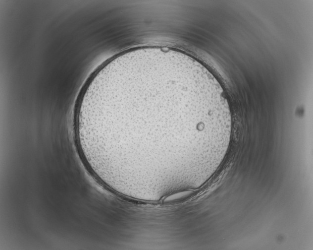 X0000116651087201001111224