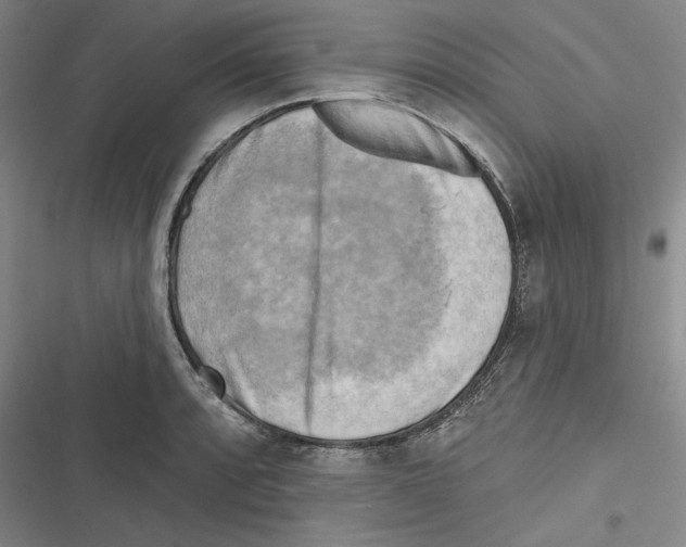 X0000116651088201001111224