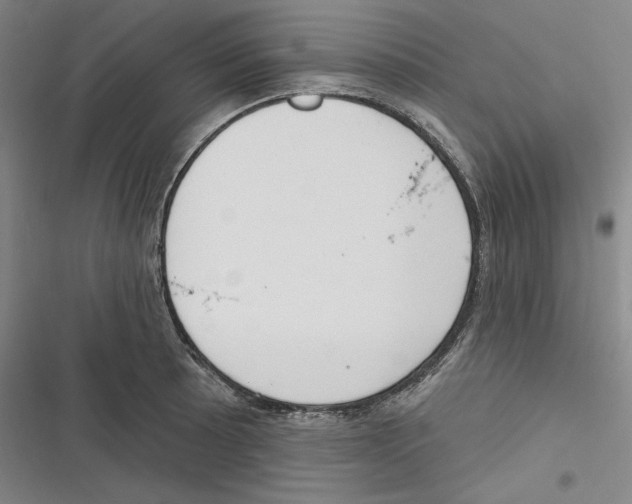 X0000116651089201001111224