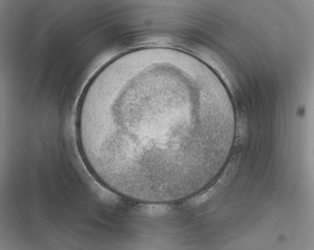 X0000116651090201001111224