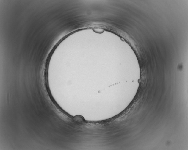 X0000116651091201001111224