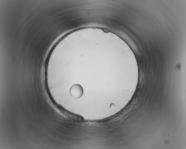 X0000116651092201001111224