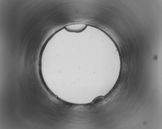 X0000116651093201001111224