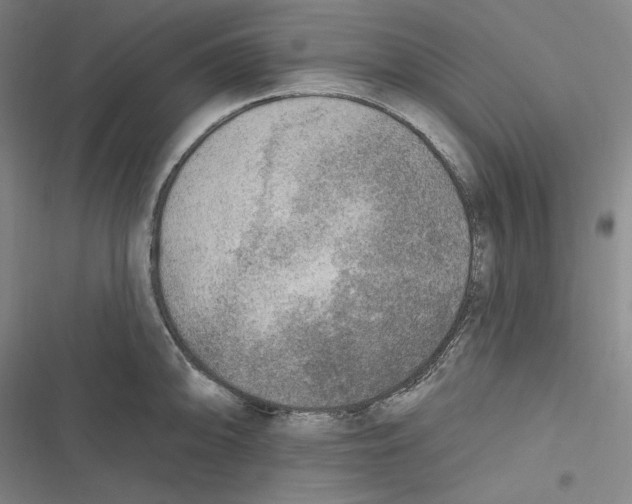 X0000116651094201001111224