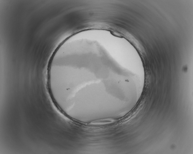 X0000116651095201001111224