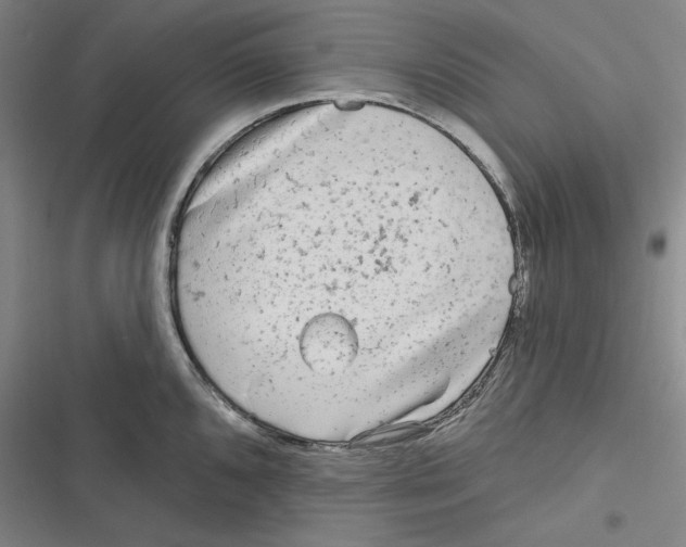 X0000116651096201001111224