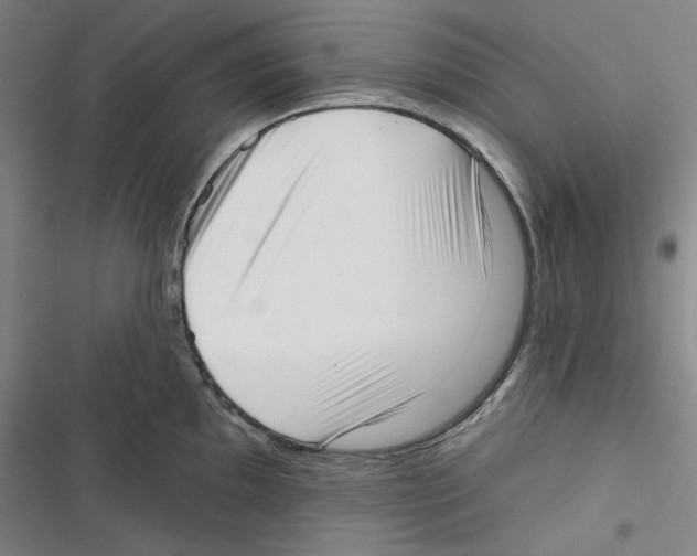 X0000116651097201001111224