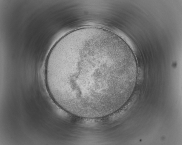 X0000116651098201001111224