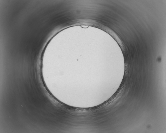 X0000116651099201001111224