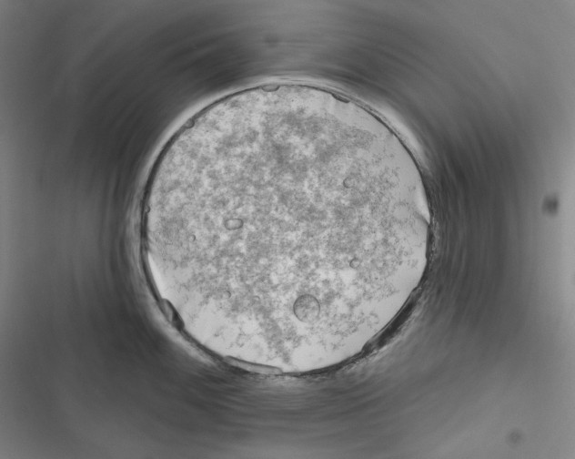 X0000116651100201001111224