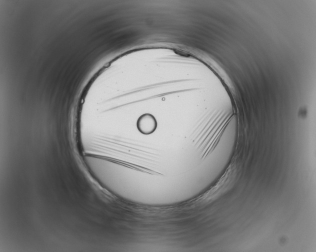 X0000116651101201001111224