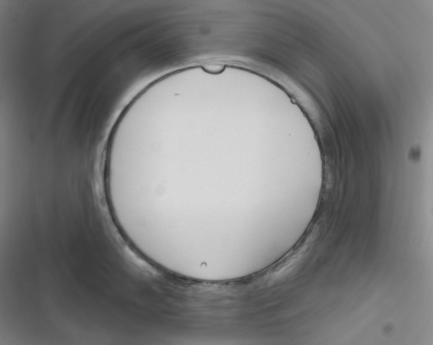 X0000116651102201001111224