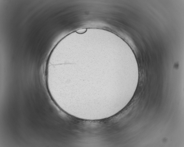 X0000116651103201001111224