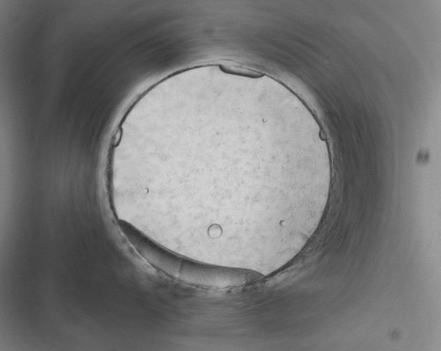 X0000116651104201001111224