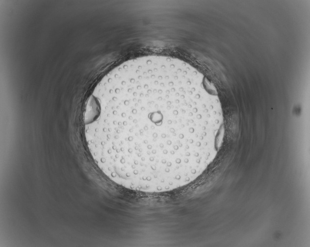 X0000116651105201001111223