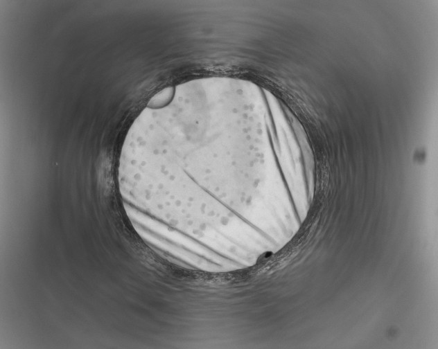 X0000116651106201001111223