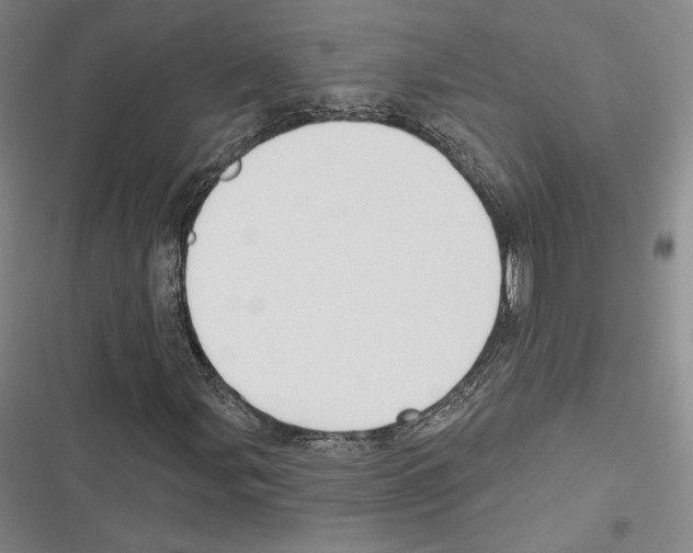 X0000116651107201001111223