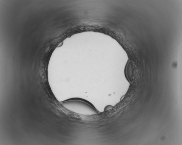 X0000116651109201001111223