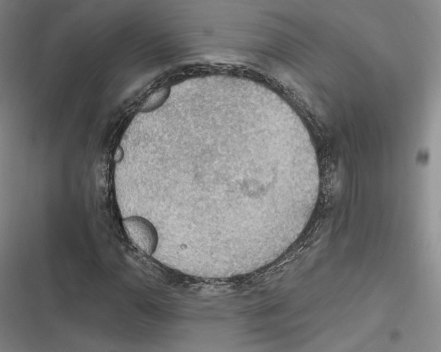 X0000116651110201001111223