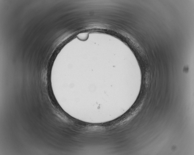 X0000116651113201001111223