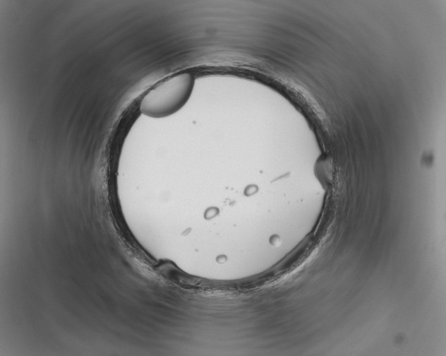 X0000116651114201001111223