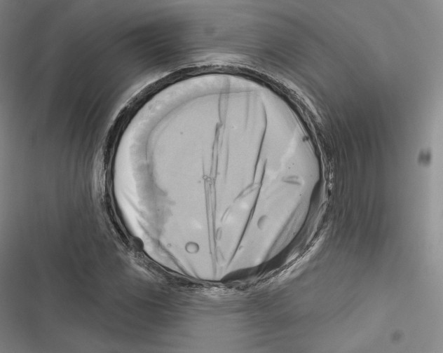 X0000116651117201001111223