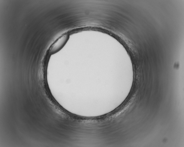 X0000116651118201001111223