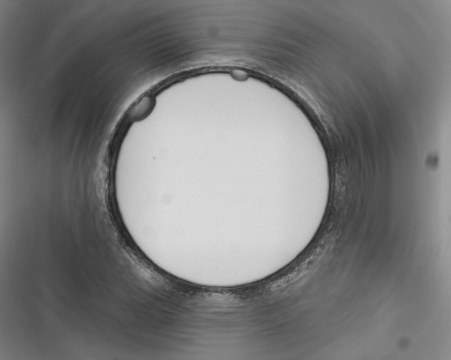 X0000116651119201001111223