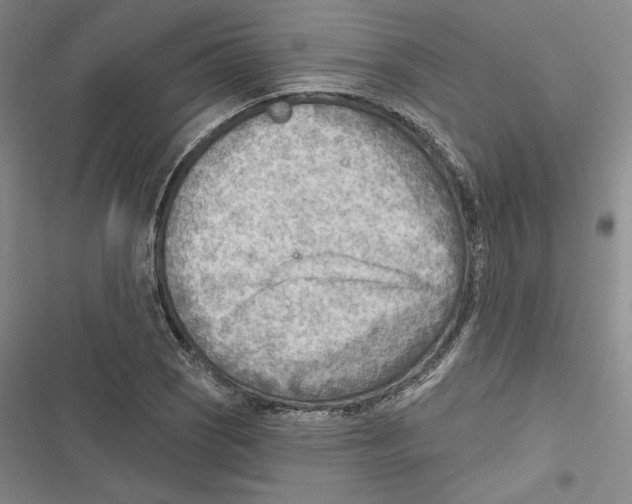 X0000116651121201001111223